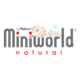 Miniworld