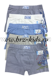 Боксеры Biyokids 2165