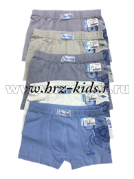 Боксеры Biyokids 2167